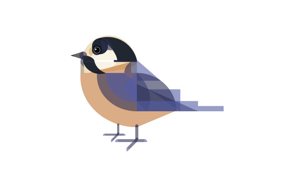 artwork_thumbnail_image